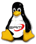 SAM_linux